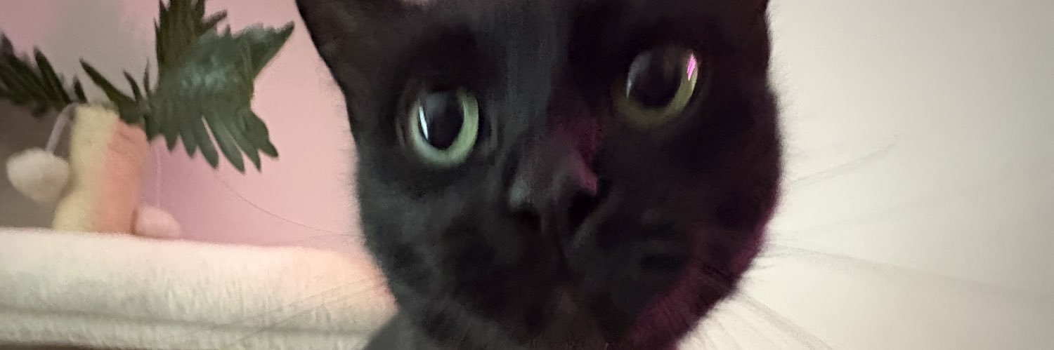madsfeens's profile banner image