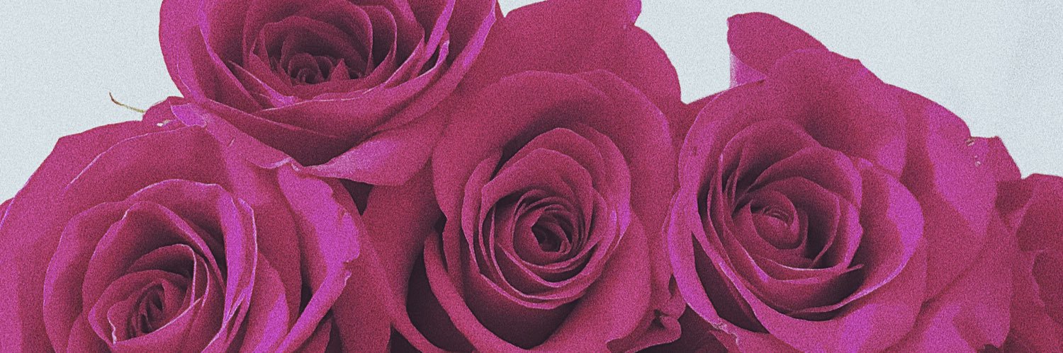 xoca96_'s profile banner image
