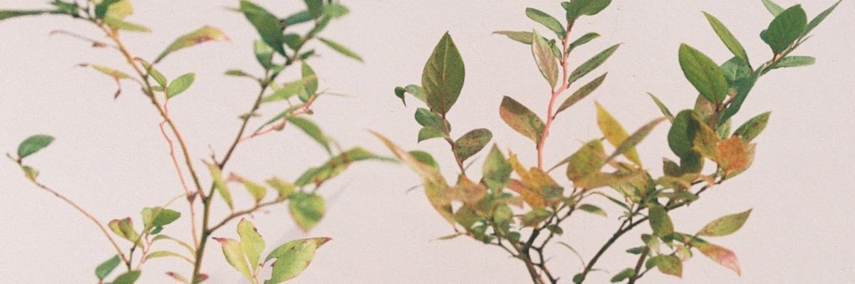 鈴木 啓太|urban's banner