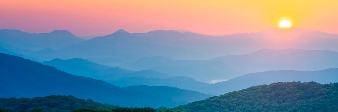 magicaldaisy007 banner