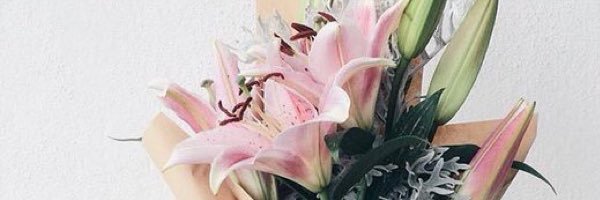 pabonzaira's profile banner image