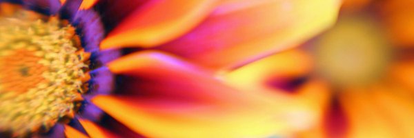 LifeUnsorted Profile Banner