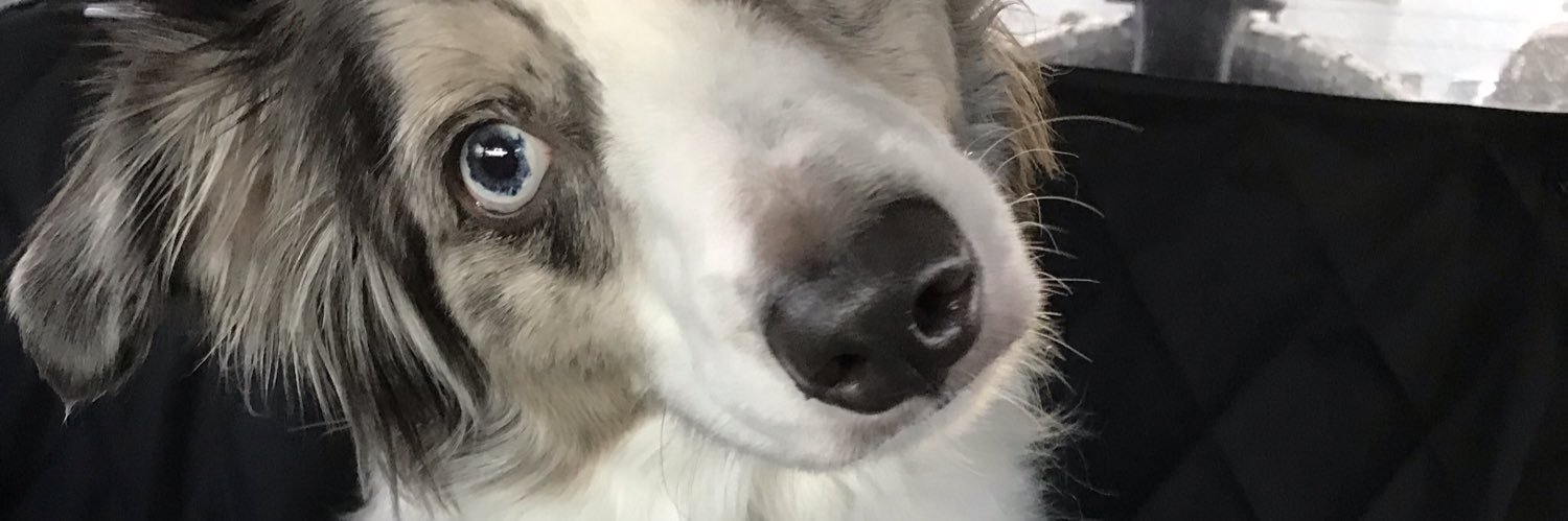 HelloHoudini's profile banner image