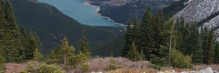 bob_kaugi's profile banner image