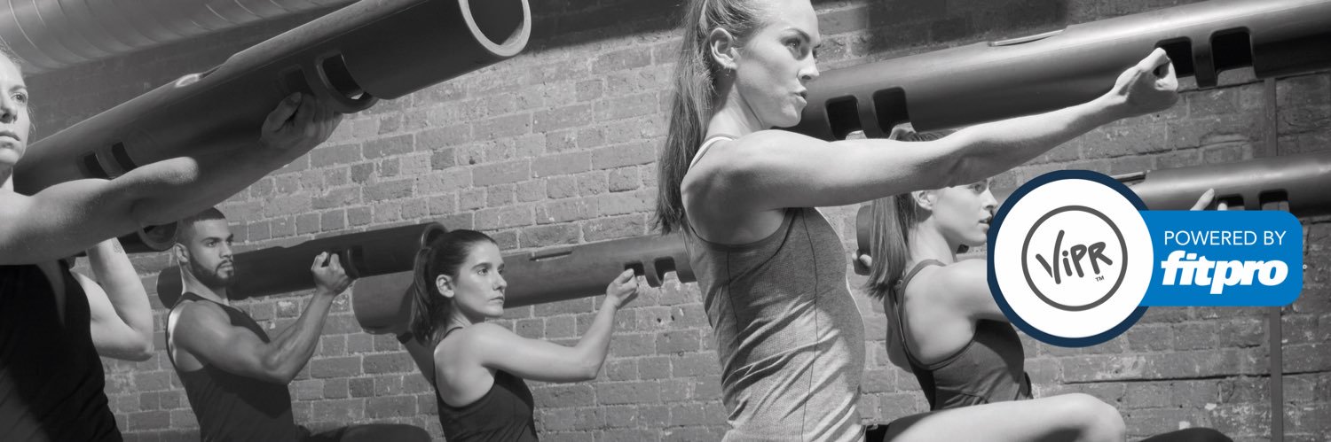 ViPR banner