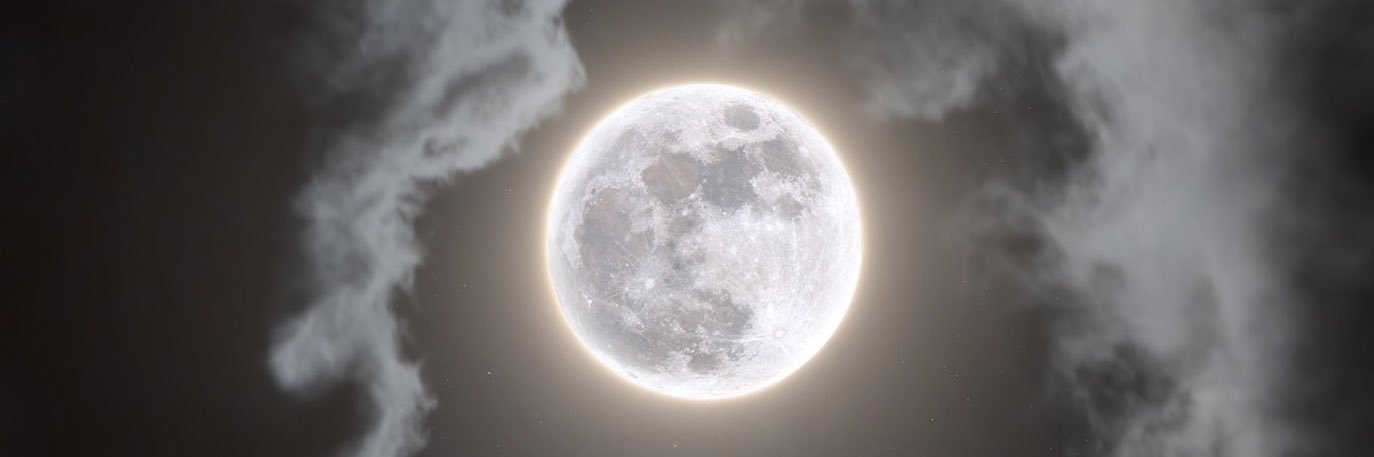 alaynagetz's profile banner image