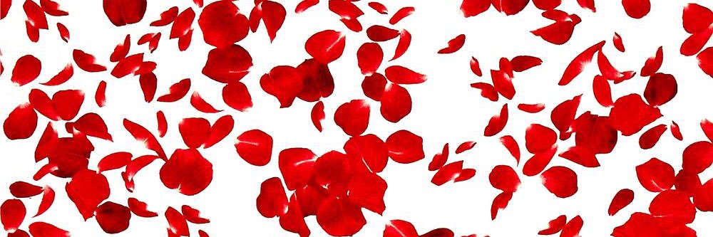 Ruby Rose banner