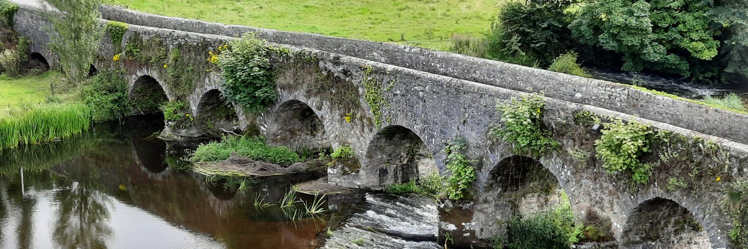 Speak Easy Toastmasters Mallow banner