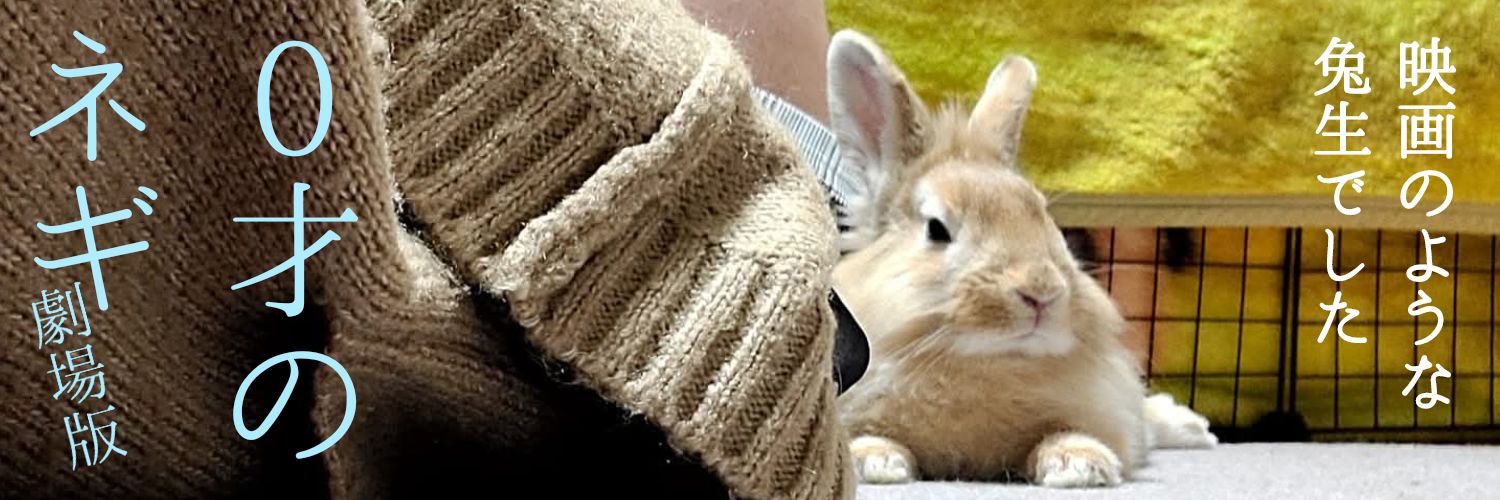 ふぅ🐰／5.10うさぎふくふく祭りinふくしま→No.30「がおや」 banner