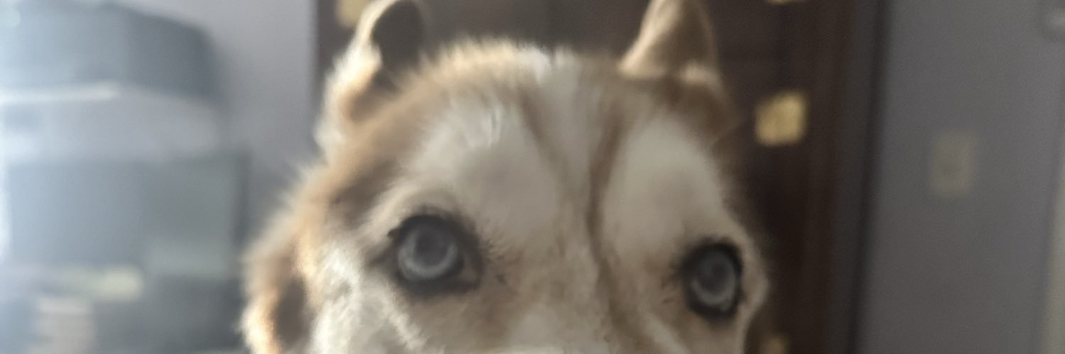 jillianonstad's profile banner image