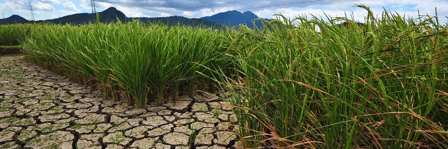 UN Land and Drought's banner