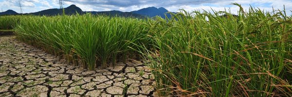UNCCD Profile Banner