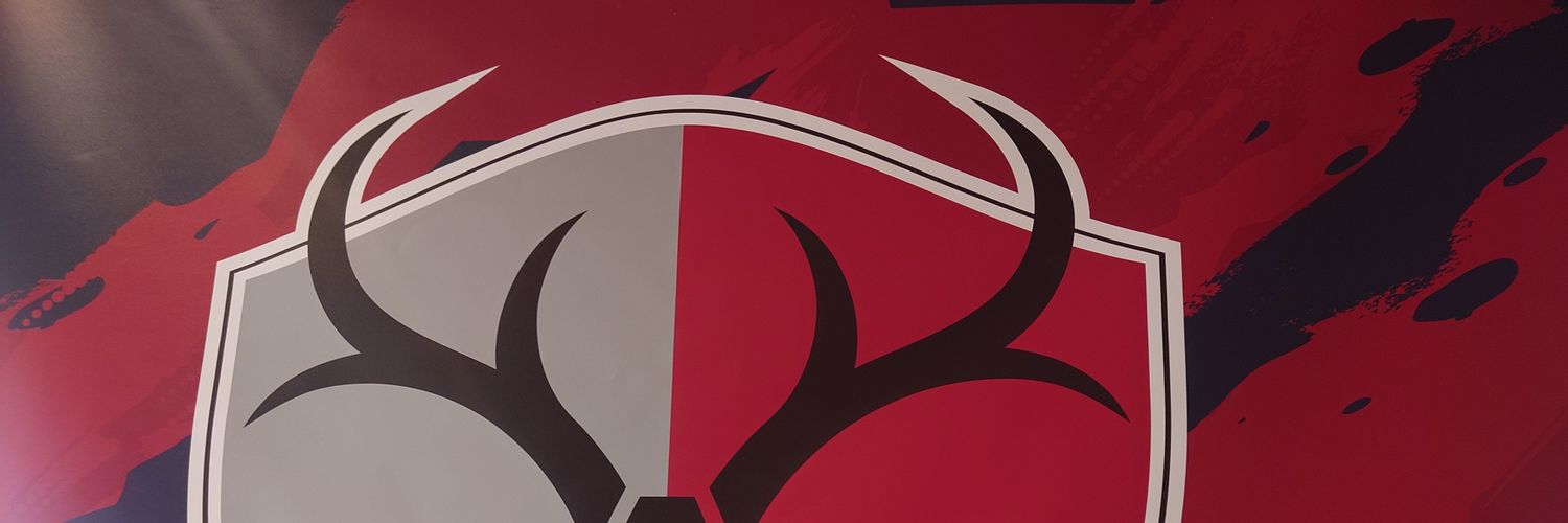 Sogaldo banner