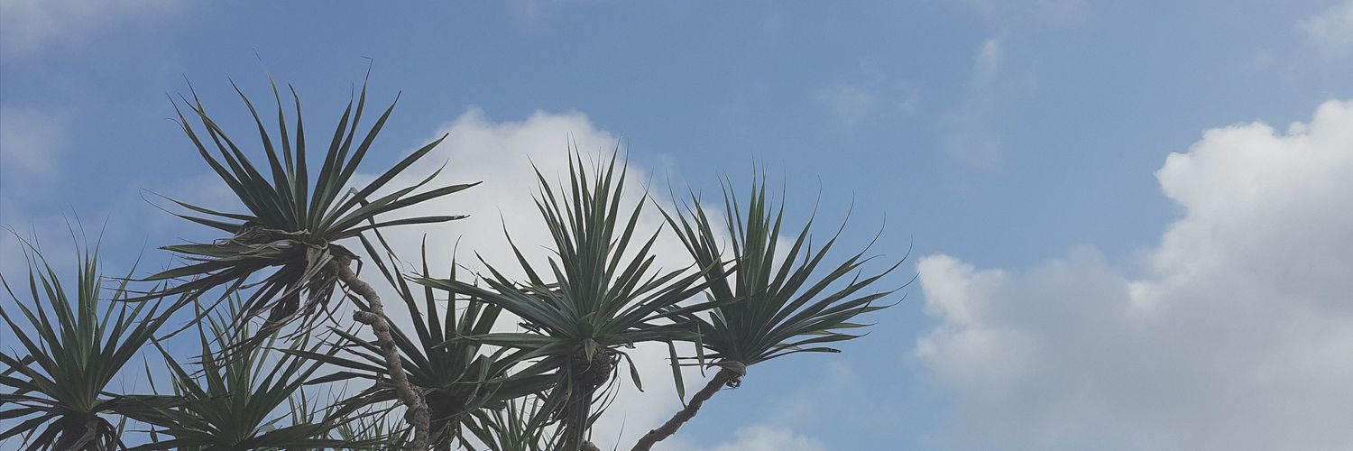 astickless's profile banner image