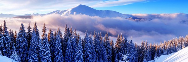 pseudoonimm Profile Banner