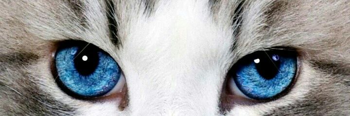 J15Ana's profile banner image