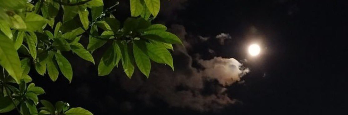 bligh_15's profile banner image