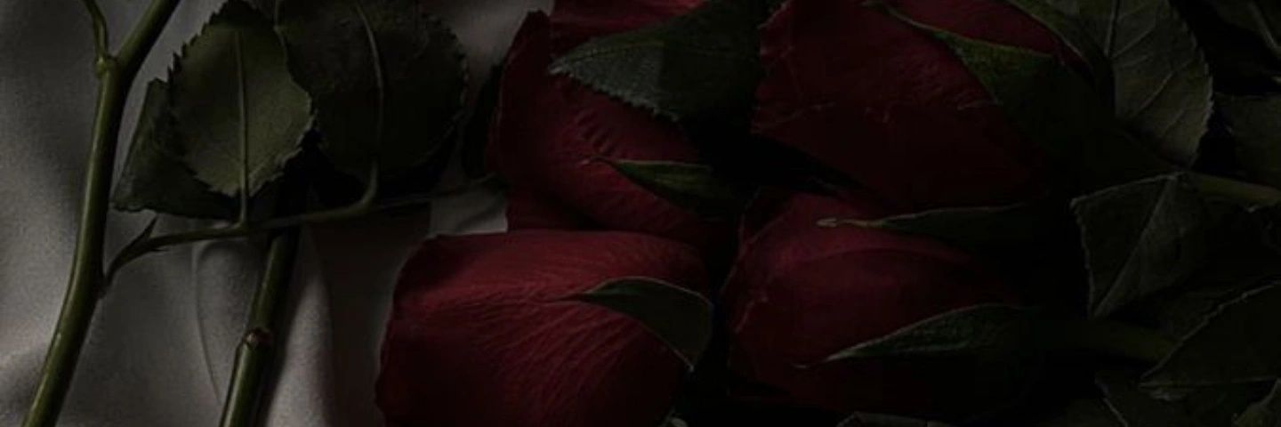 sy 🧝🏻‍♀️ banner