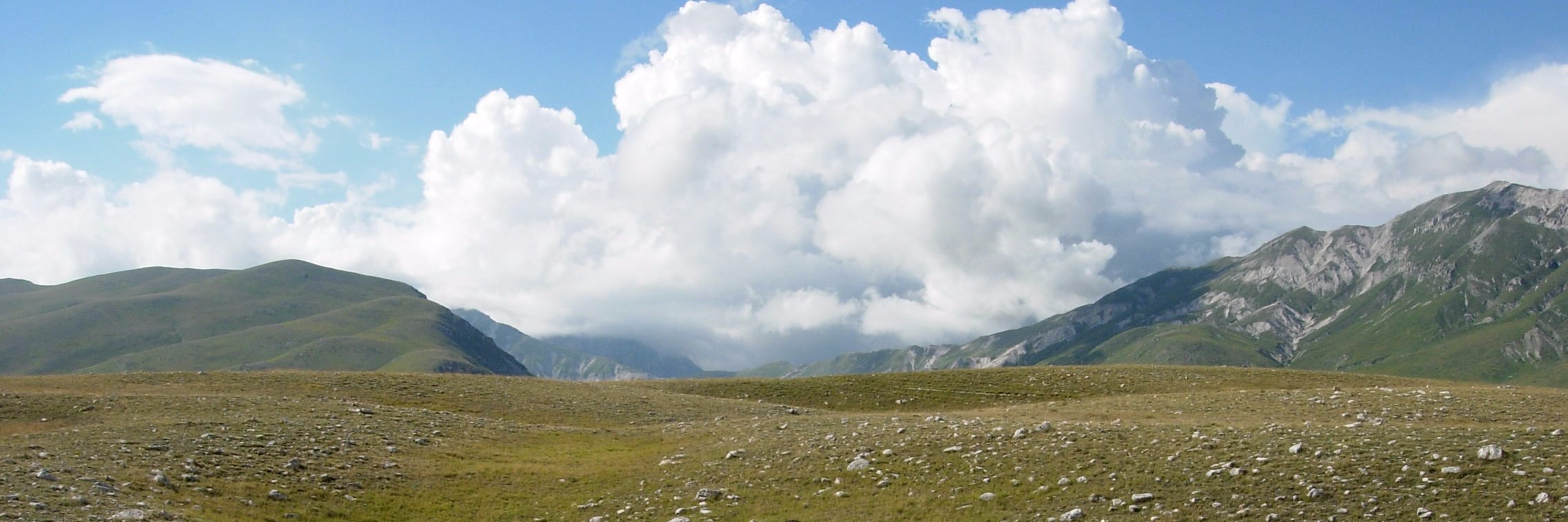Marco D'ANnunzio banner