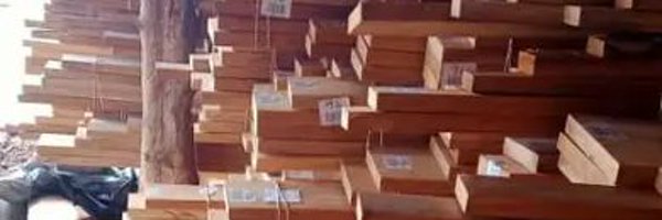 BlackcamelE Profile Banner