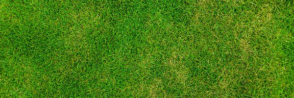 cantalfbase Profile Banner