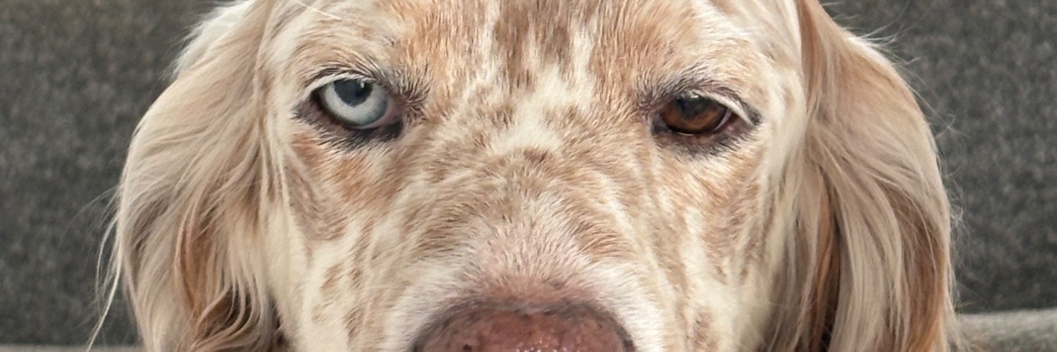 Peter Marshall banner