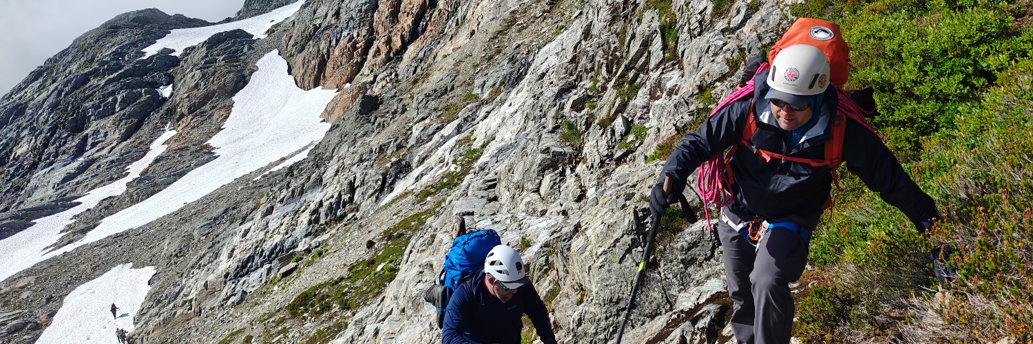 Seattle-Wayne banner