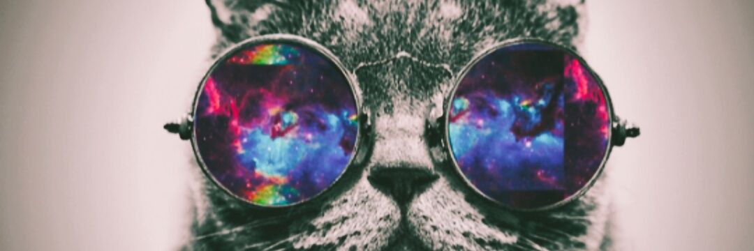 MyllaMlc's profile banner image