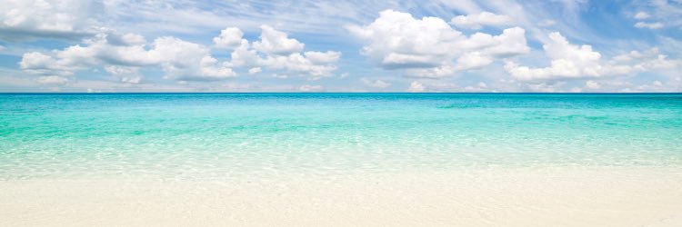ilmiosognovero's profile banner image