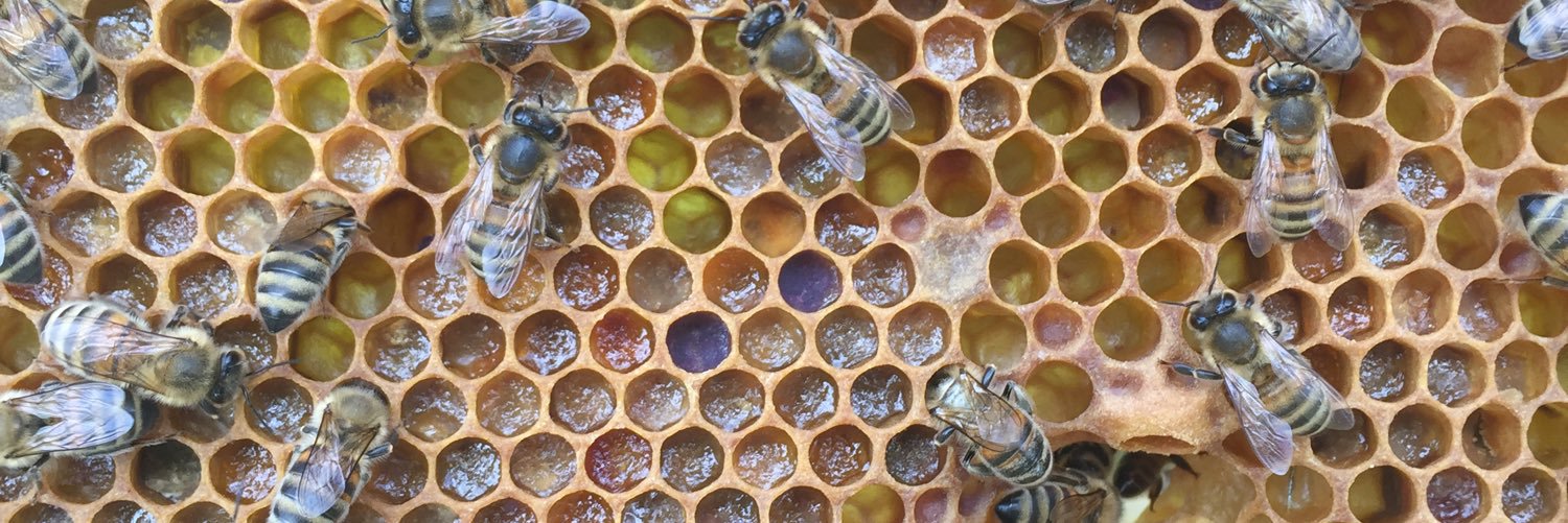 Warwick Beekeepers banner