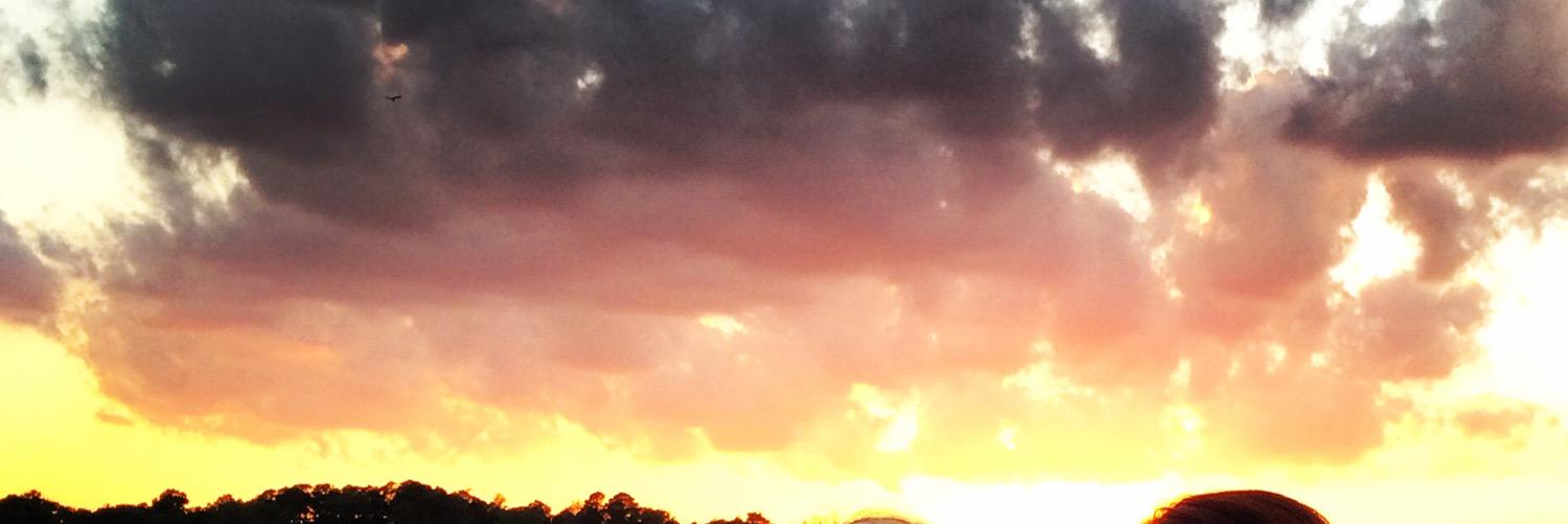 JessicaBHill's profile banner image