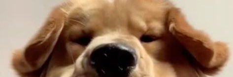 iselazj's profile banner image