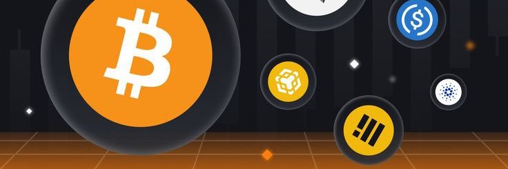 yourbubae's profile banner image