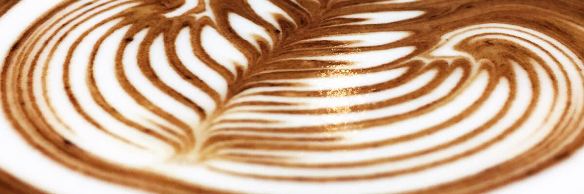 hmscat13's profile banner image