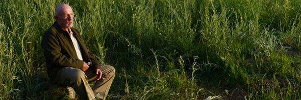 Trecepciones banner