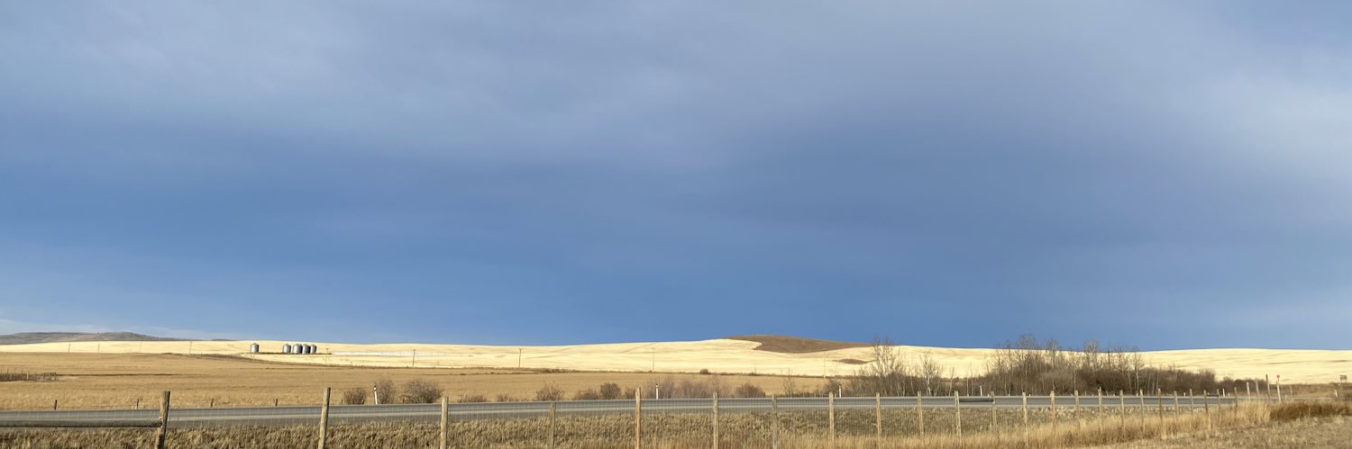 Andrew JW banner
