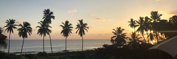 lisaminot Profile Banner