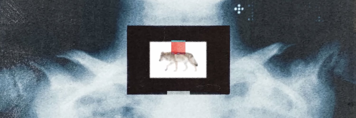 wo122018's profile banner image