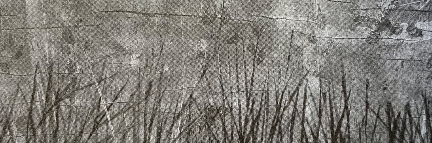 natureattheedge's profile banner image