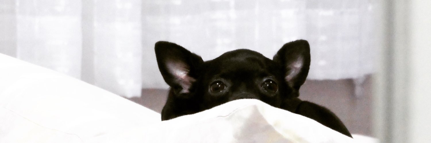 thaisgmelo's profile banner image