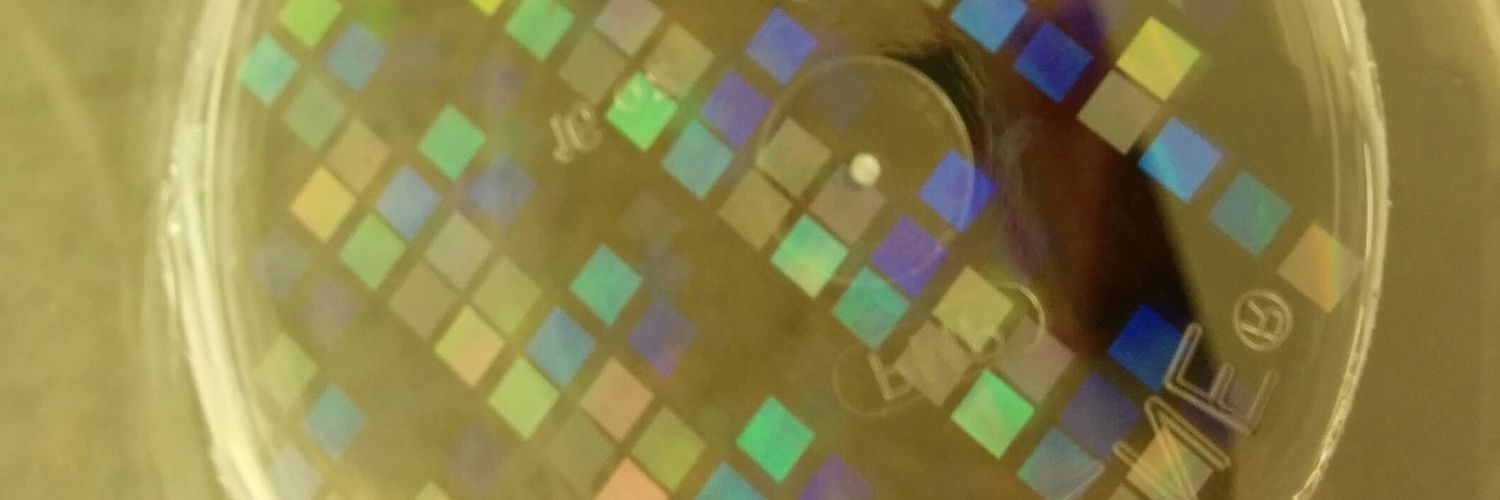 DiatomaceousE's profile banner image