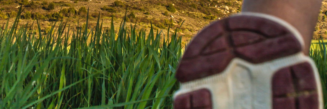 Corre y ríe banner