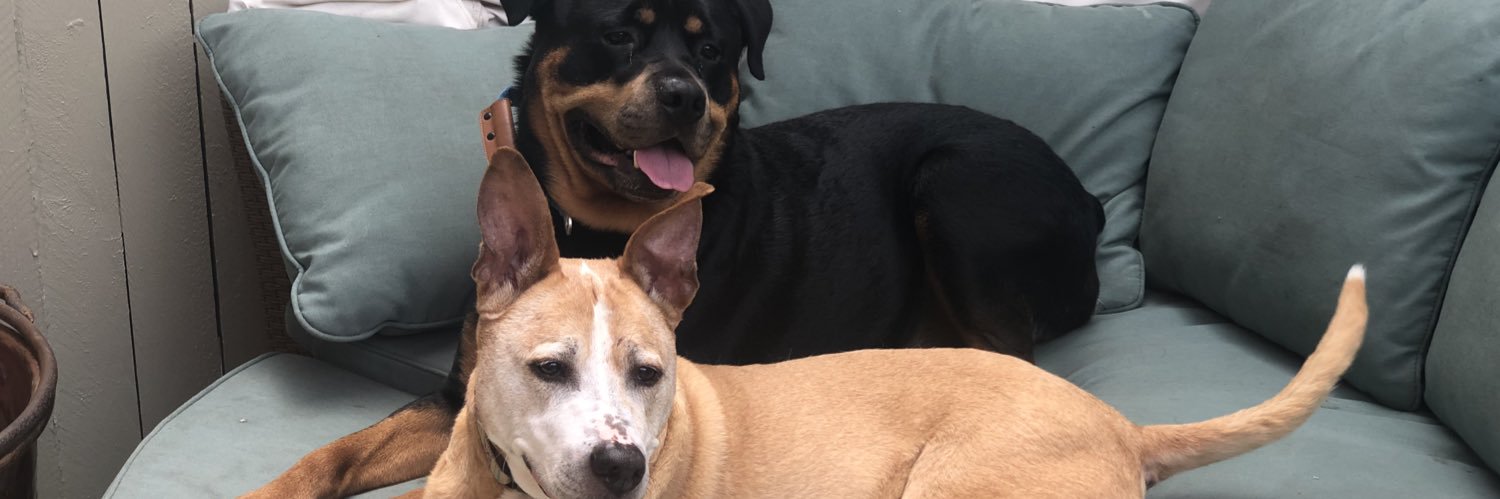 J~Me ✨🌈💛🫶🩵 banner