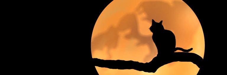 copem3's profile banner image