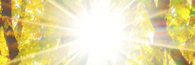 JulietBernardF's profile banner image