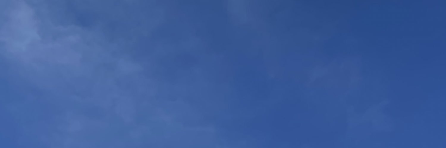 didafisandra's profile banner image