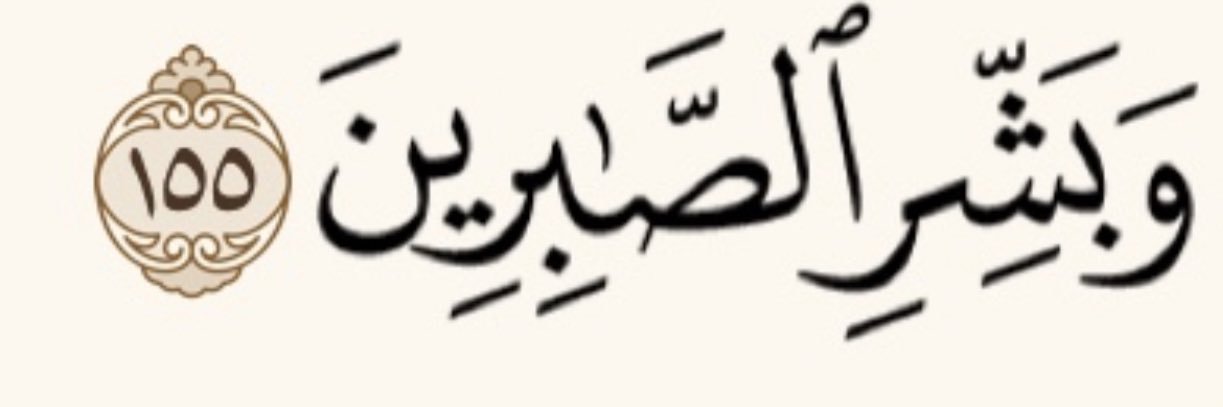 مدباج بن لفيجح banner