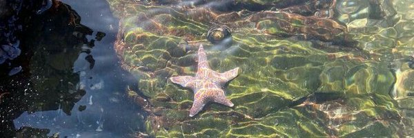 heysapaa Profile Banner