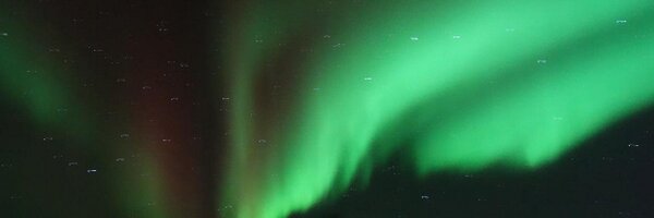 T45356 Profile Banner
