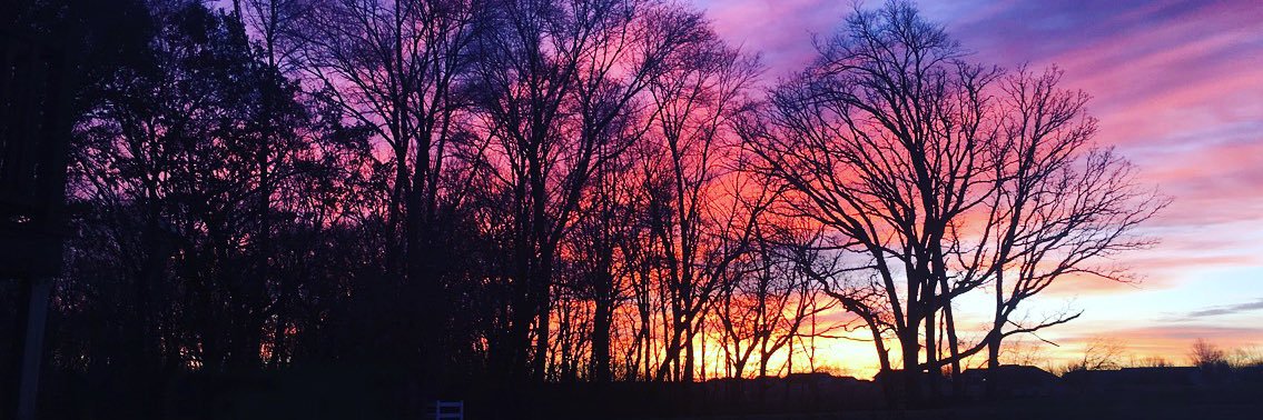 Jane Linderbaum banner